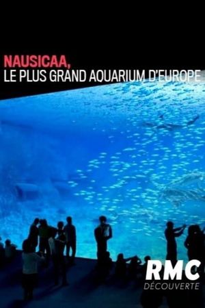 Nausicaa: The Largest Aquarium in Europe's poster