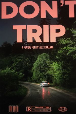 Don't Trip's poster