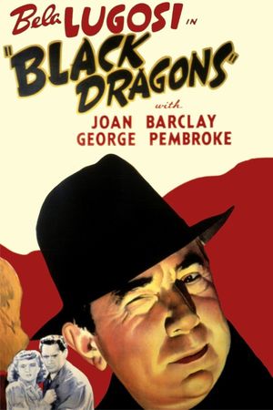 Black Dragons's poster