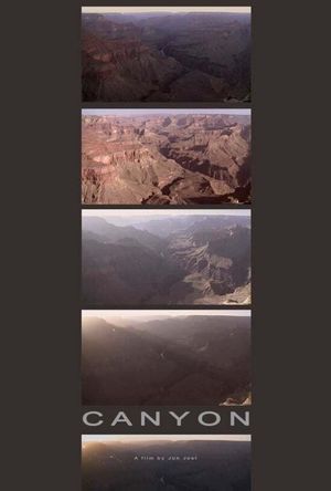 Canyon II's poster