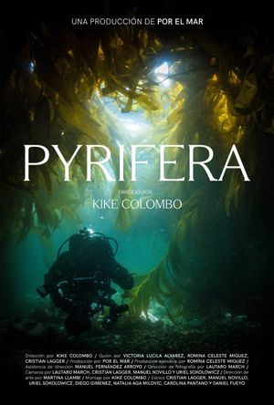 Pyrifera's poster