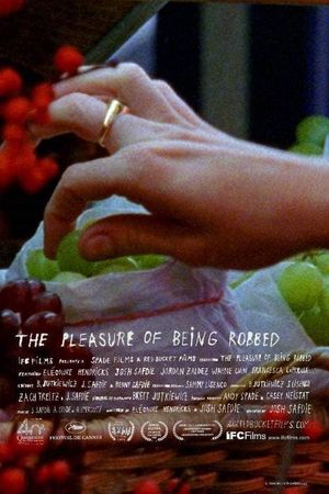 The Pleasure of Being Robbed's poster