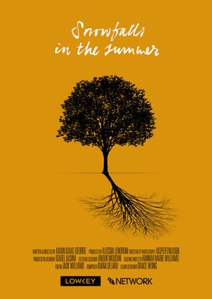 Snowfalls in the Summer's poster