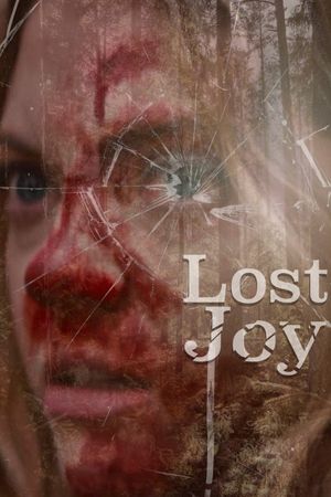 Lost Joy's poster