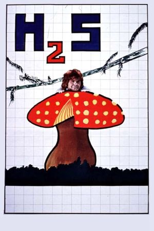 H2S's poster