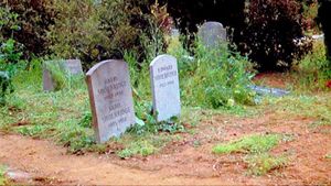 Family Plot's poster