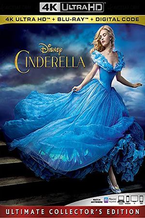Cinderella's poster