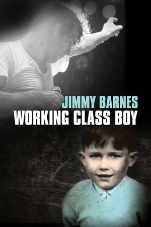 Working Class Boy's poster