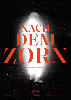 Nach dem Zorn's poster