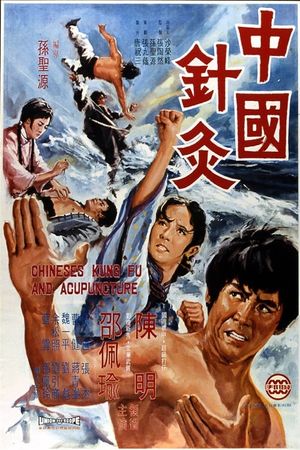 Chinese Kung Fu & Acupuncture's poster
