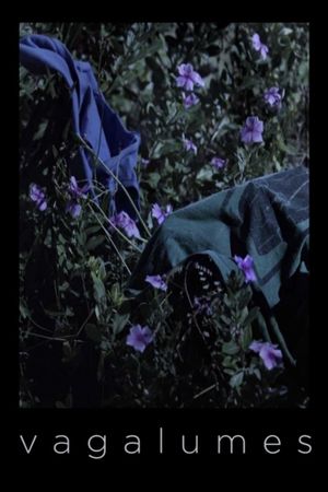 Fireflies's poster