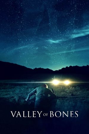 Valley of Bones's poster