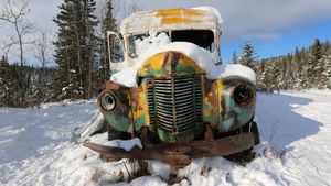 Return to the Wild: The Chris McCandless Story's poster