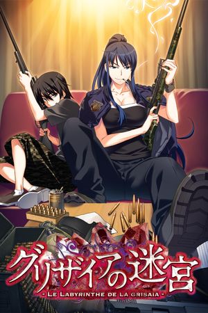 The Labyrinth of Grisaia's poster