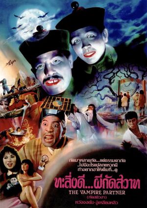 The Vampire Partner's poster