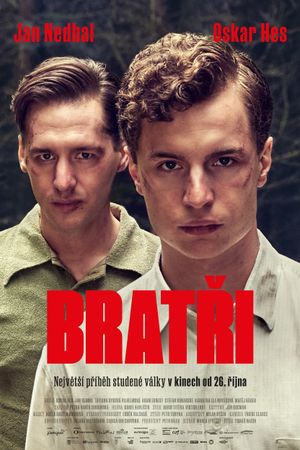 Brothers's poster