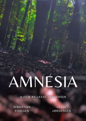 Amnesia's poster