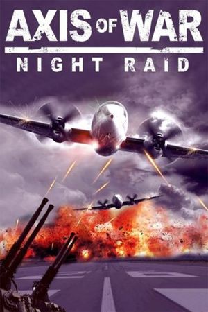 Night Attack's poster