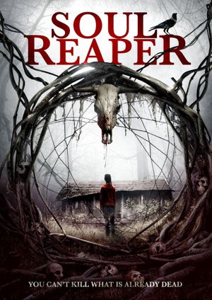Soul Reaper's poster