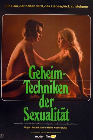 Geheimtechniken der Sexualität's poster