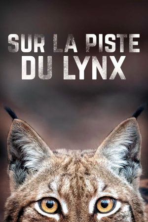 Sur la piste du lynx's poster