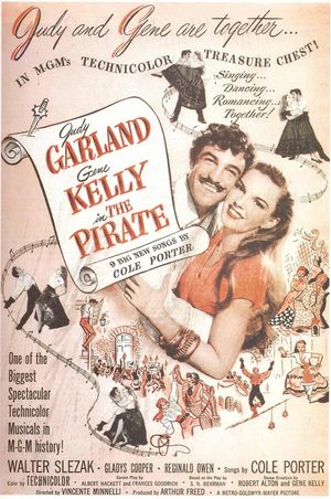 The Pirate's poster