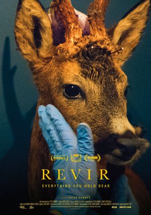 Revir - Everything You Hold Dear's poster