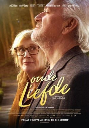 Love Revisited's poster