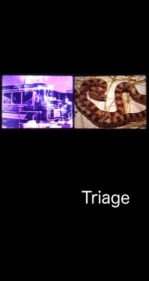 Triage's poster