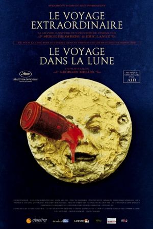 The Extraordinary Voyage's poster