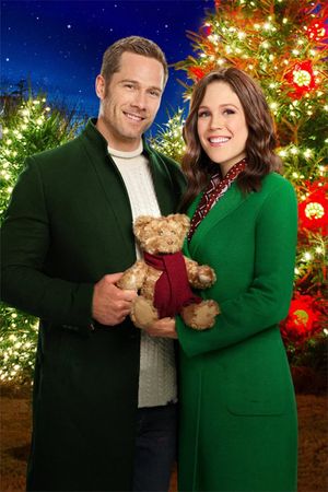 Sense, Sensibility & Snowmen's poster