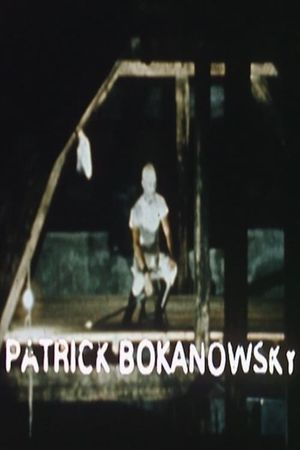 A Creator of the Imaginary: Patrick Bokanowski - Short Film's poster image