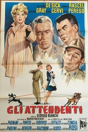 The Orderly's poster