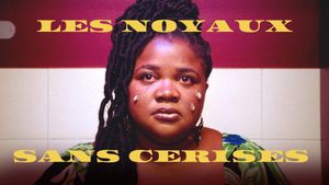 Les noyaux sans cerises's poster