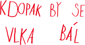 Kdopak by se vlka bál's poster