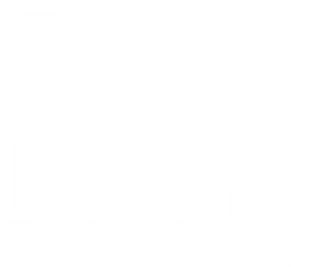 500 Days in the Wild's poster