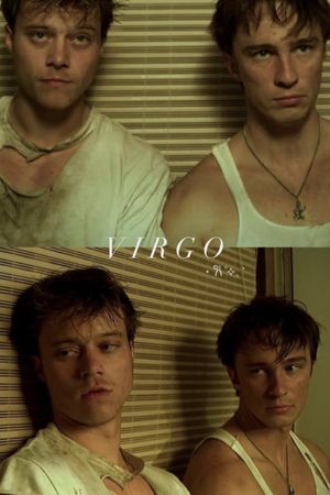 VIRGO's poster