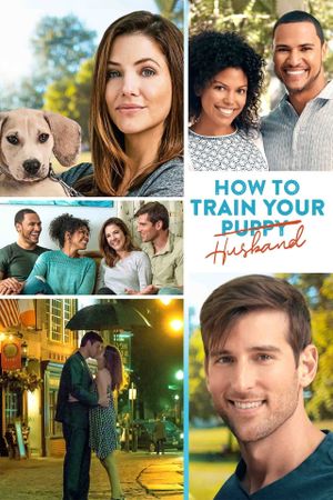How to Train Your Husband or (How to Pick Your Second Husband First)'s poster