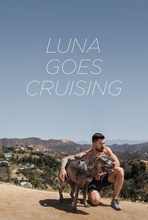 Luna Goes Cruising's poster