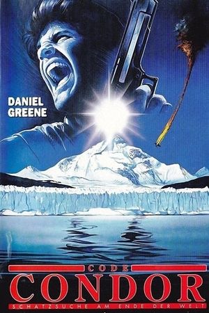After the Condor's poster