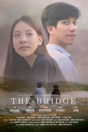 The Bridge's poster