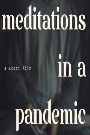 Meditations In A Pandemic's poster