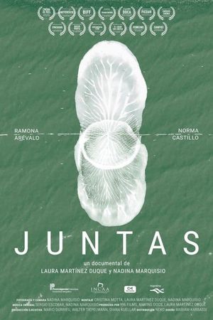 Juntas's poster