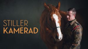 Stiller Kamerad's poster