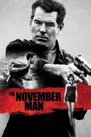 The November Man's poster