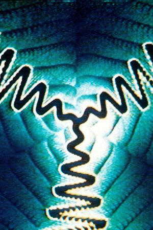 Spiral 5 PTL (Perhaps The Last)'s poster