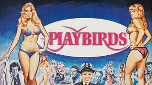 The Playbirds's poster