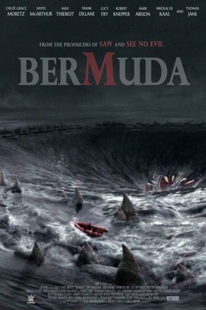 Bermuda's poster