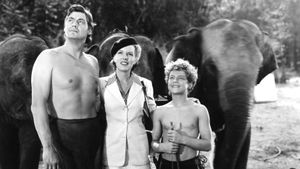 Tarzan and the Amazons's poster