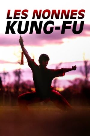 Les nonnes kung-fu : bouddhistes et féministes's poster image